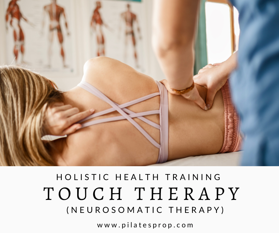Touch Therapy Course