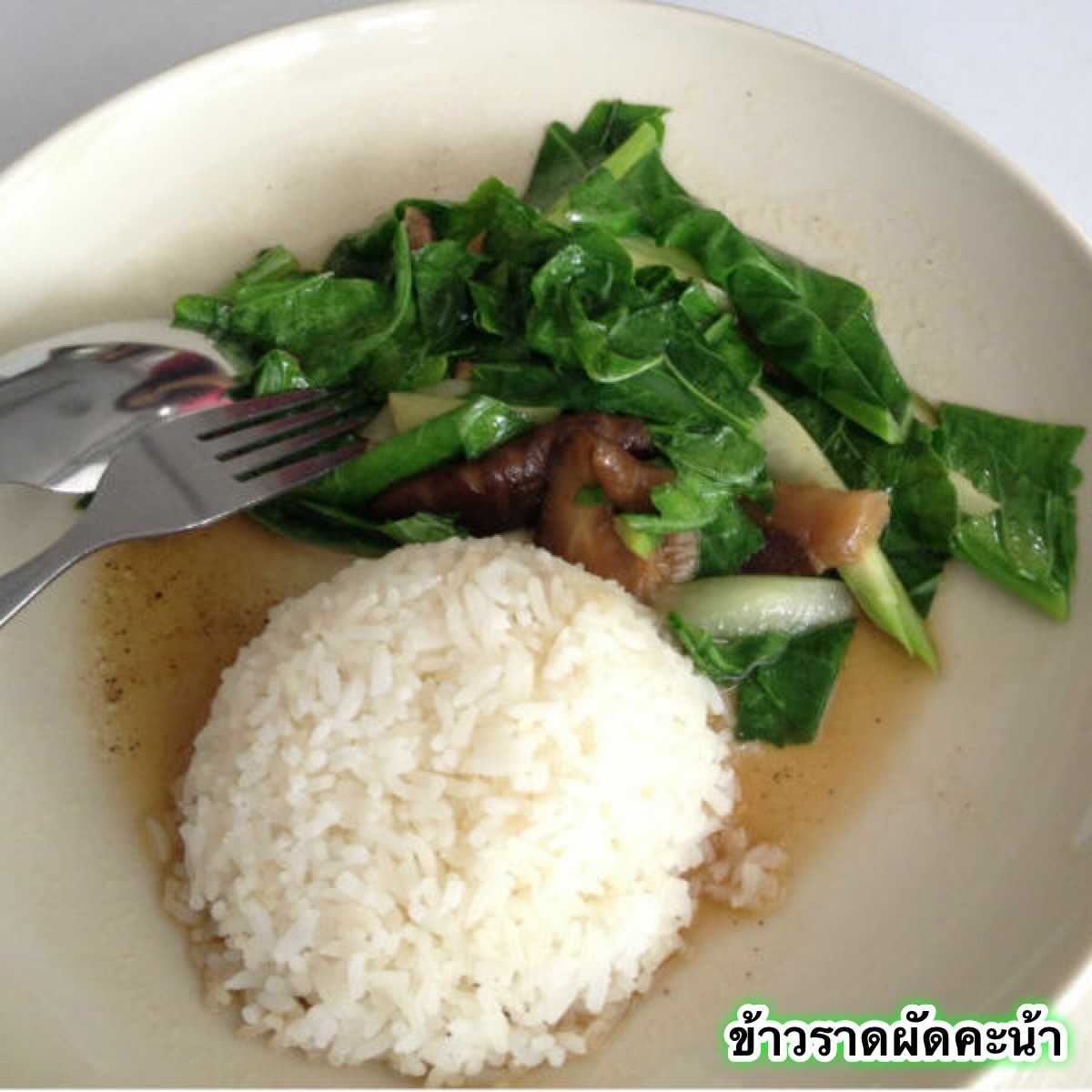 ข้าวราดผัดผักคะน้า