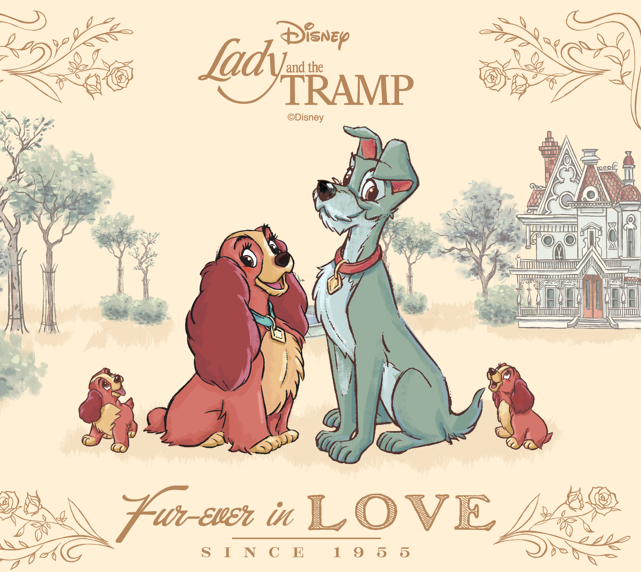 Blanket_L&T in love