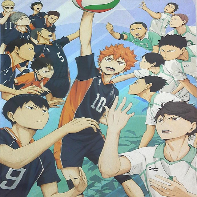 Haikyuu! Winner and Loser 2015 (Haruichi Furudate)