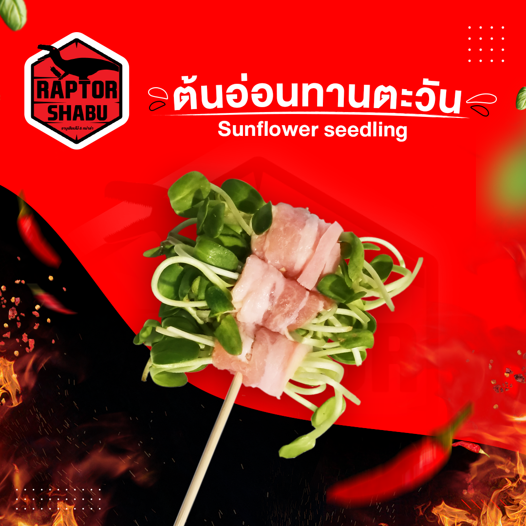 ต้นอ่อนทานตะวัน