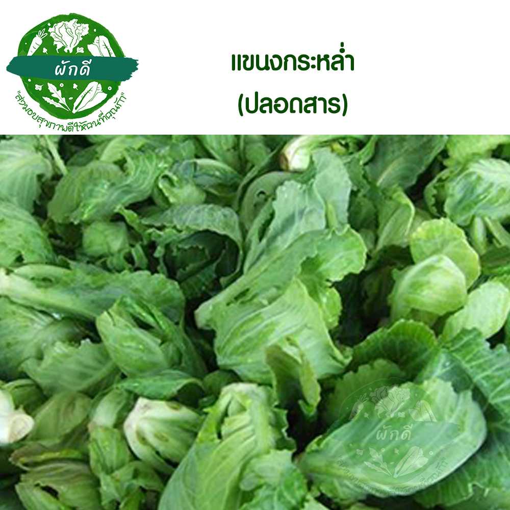 แขนงกระหล่ำ ปลอดสาร  200  กรัม