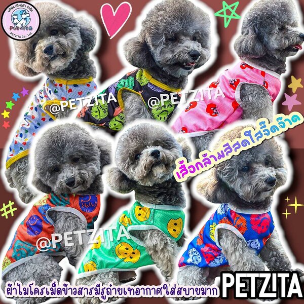 🇹🇭พร้อมส่ง🇹🇭 🐶🐱 เสื้อกล้ามสีสดใสจี๊ดจ๊าด ผ้าไมโครเม็ดข้าวสาร ใส่สบายมาก for pet เสื้อสุนัข ...