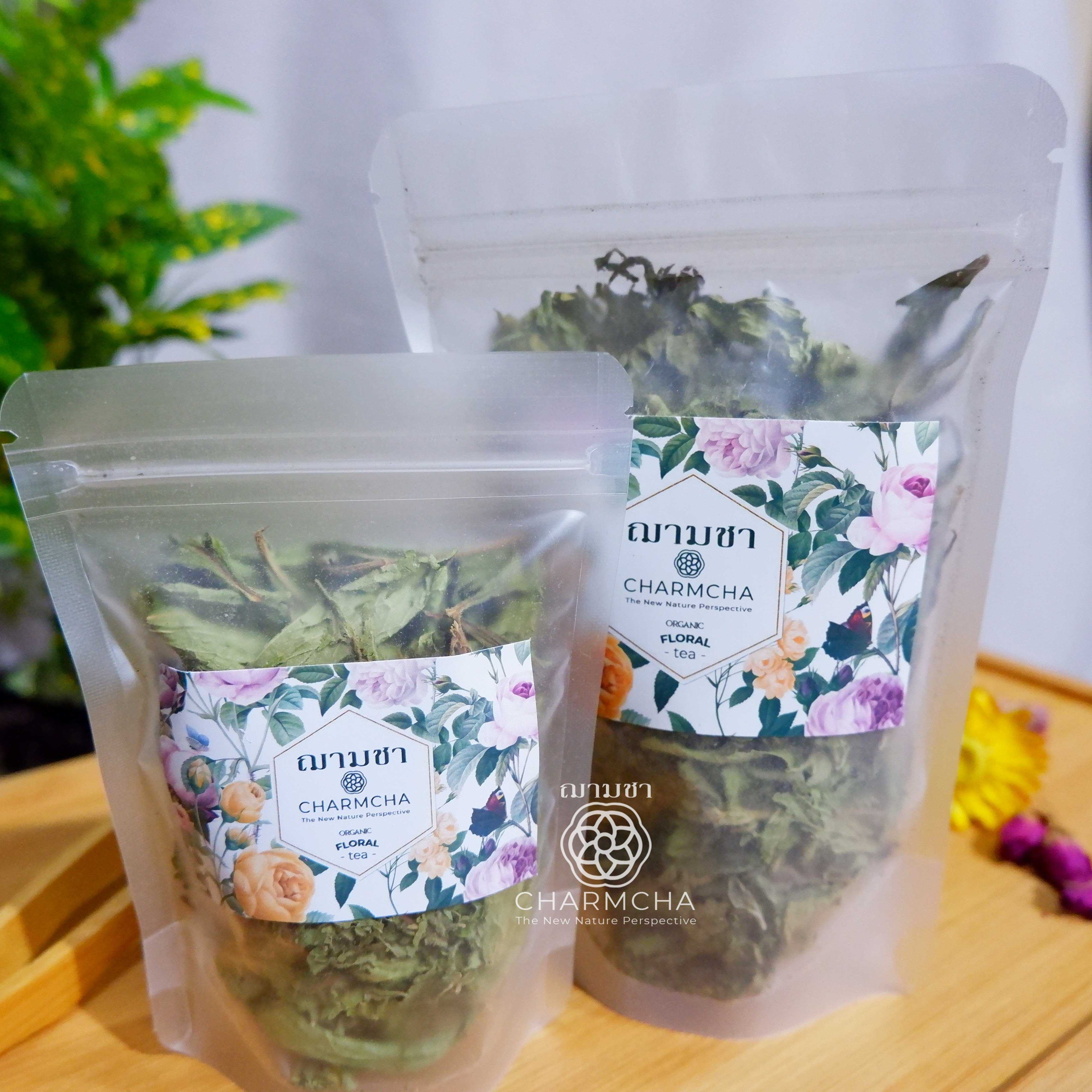 หญ้าหวาน (Stevia) ให้ความหวานแทนน้ำตาล บำรุงตับ ลดระดับน้ำตาลในเส้นเลือด
