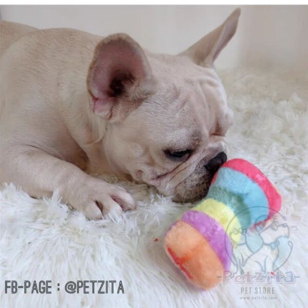 🇹🇭 พร้อมส่ง 🇹🇭🌈🌈 #กระดูกสีรุ้ง 🌈🌈 Colorful-Bone 🌈🍖🍗 ตุ๊กตาของเล่นสัตว์เลี้ยง 🐶 (บีบมี...