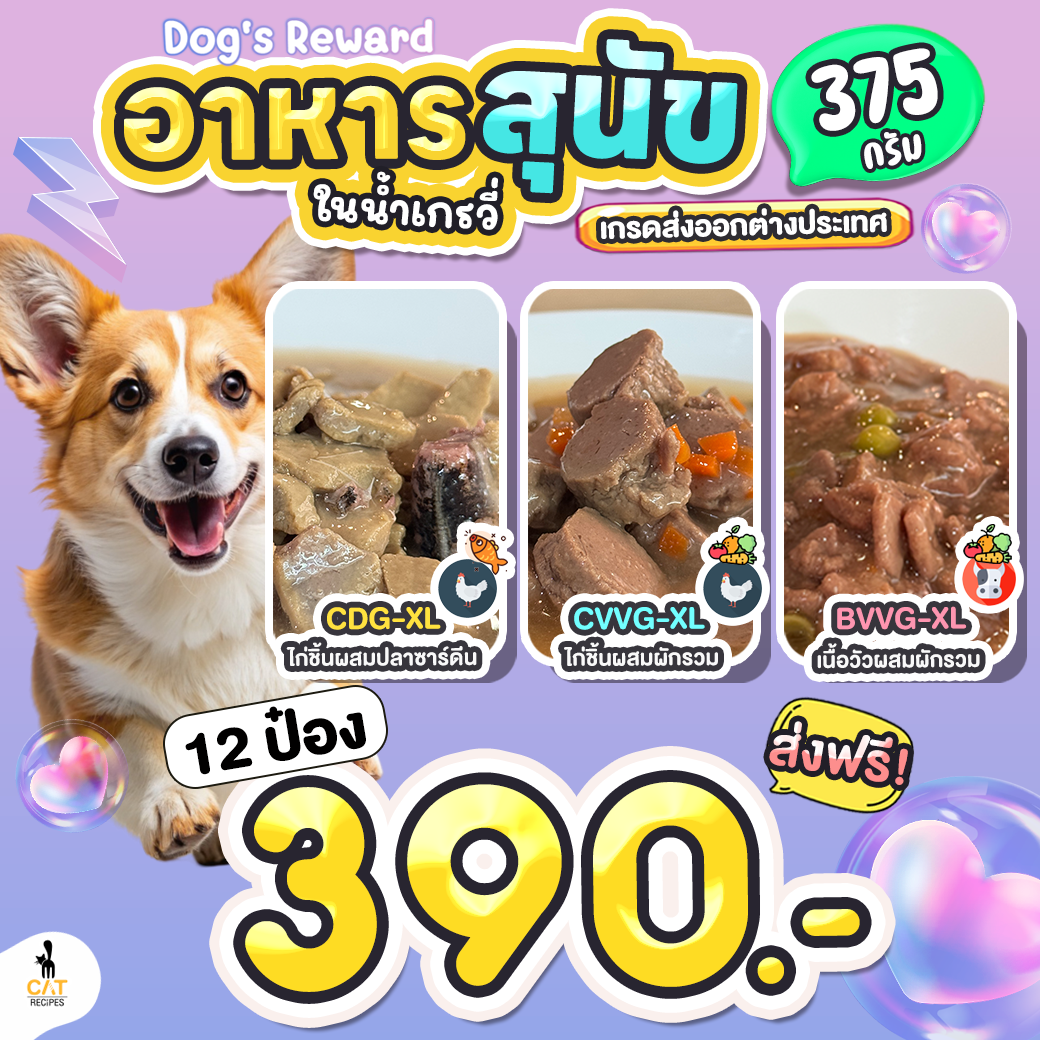 🐶 อาหารสุนัข มาใหม่ ไซส์ 375 กรัม สูตรเกรวี่ ยกลัง  12 กระป๋อง  390.- พร้อมส่งฟรี
