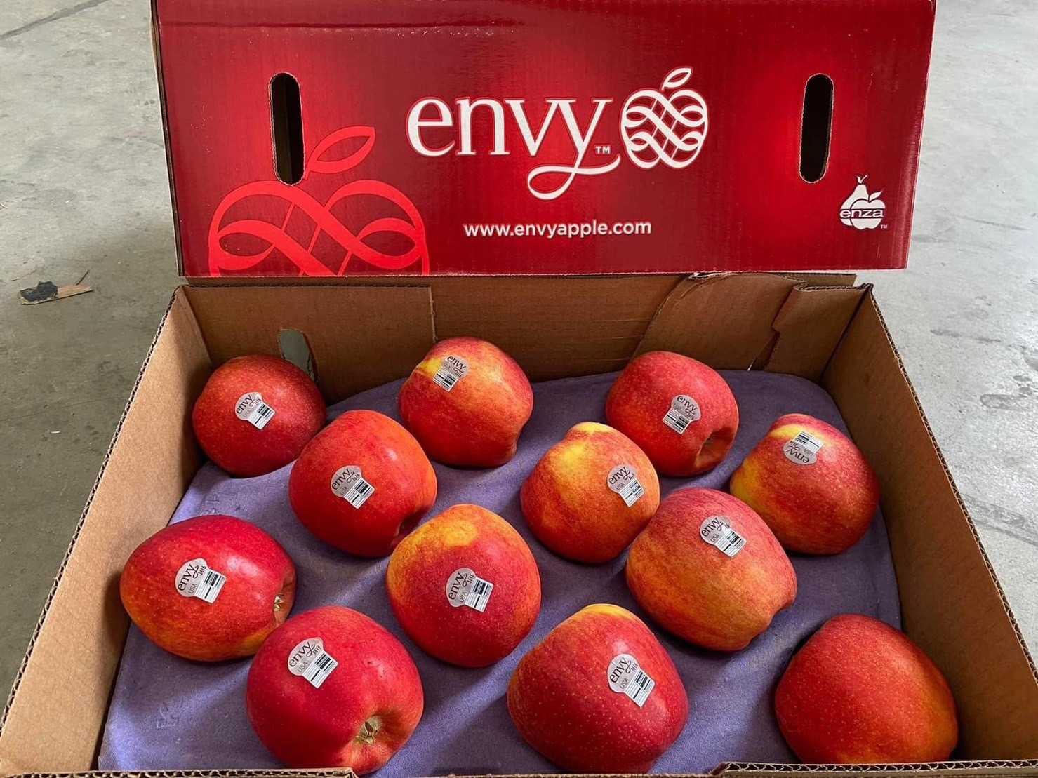 แอปเปิ้ลเอ็นวี่ Envy NZ (แบ่งชิม)