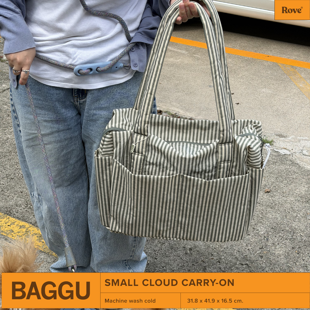 BAGGU Small Cloud Carry-On - Sage Stripe