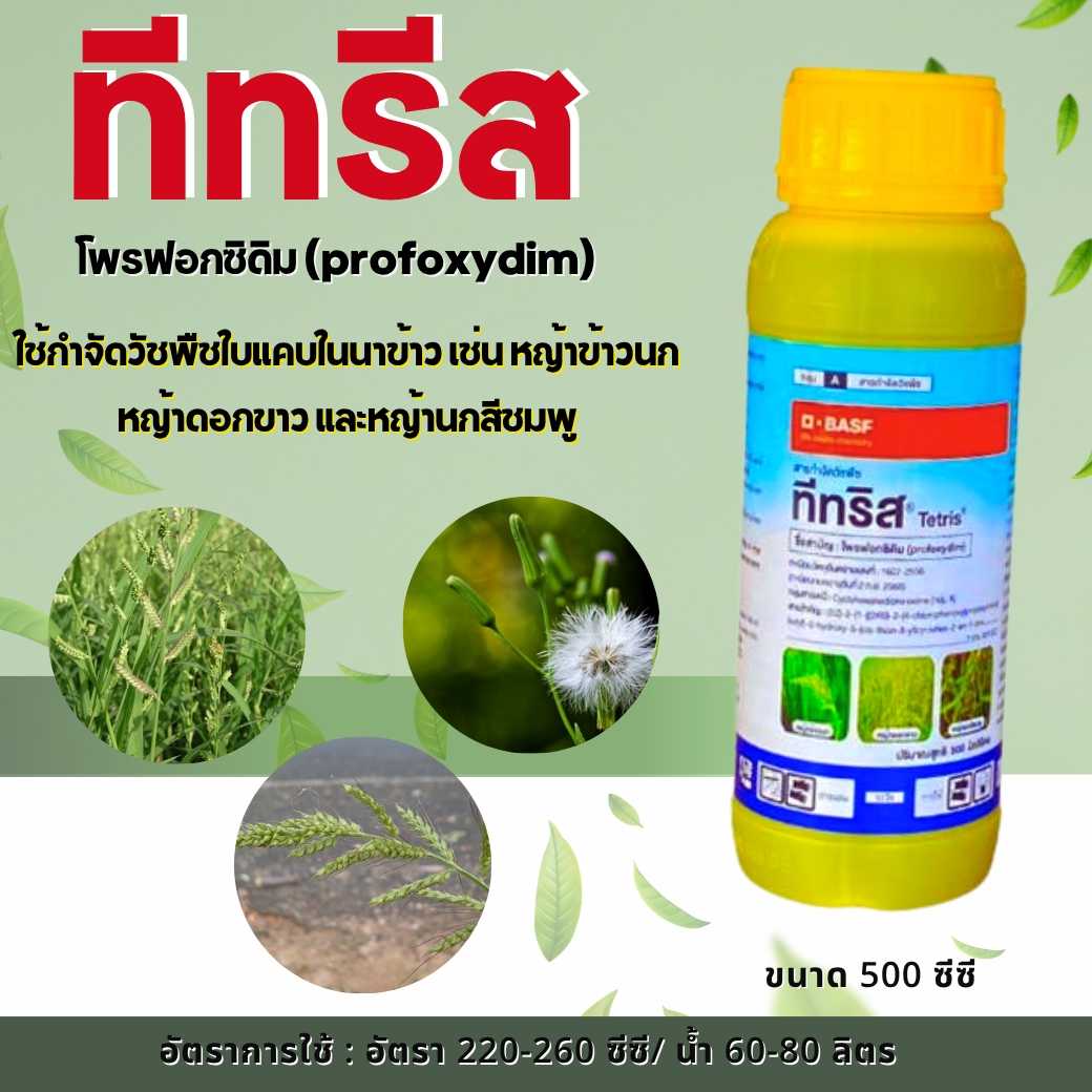 💥ทีทริส💥 500 ซีซี กำจัดหญ้ากระูกไก่ หญ้าเดือย ในนาข้าว