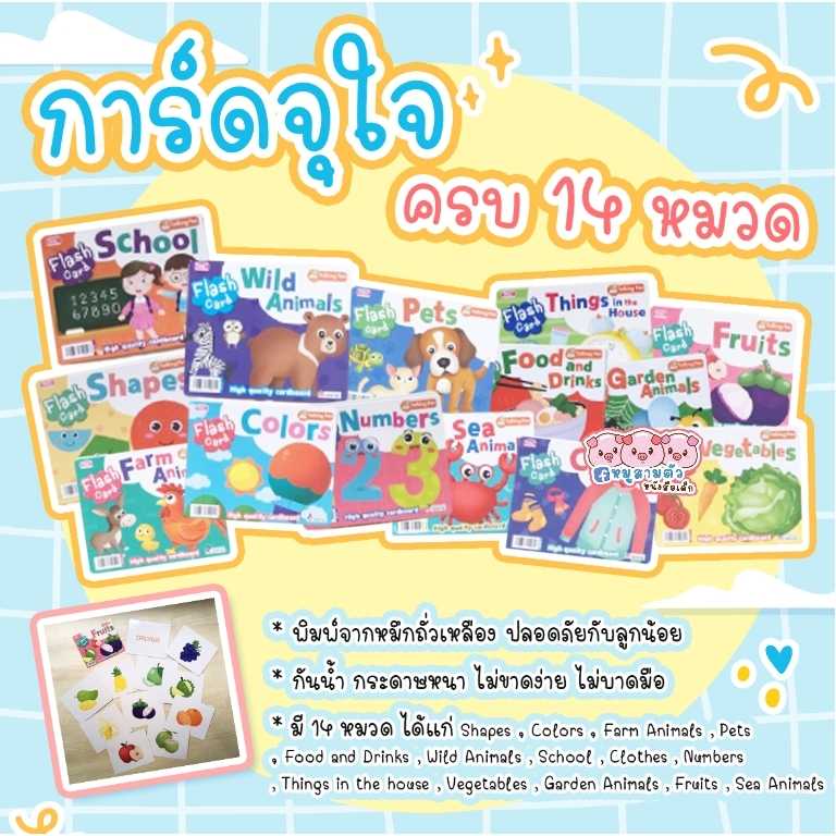 การ์ดจุใจ จำนวน 14 หมวด - แฟลชการ์ดกระดาษหนา ฉีกไม่ขาด ไม่บาดมือ