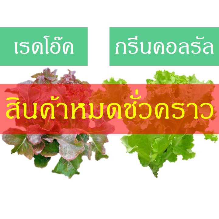 เรดโอ๊ค-กรีนคอลรัล (200 กรัม)