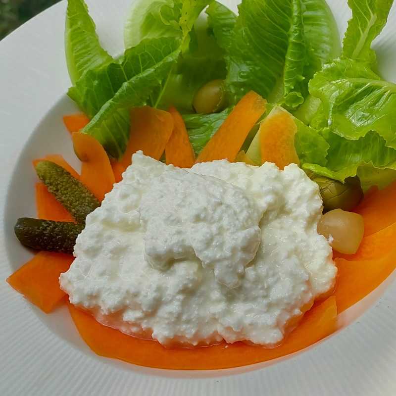 Fresh made Cottage Cheese Preservatives Free