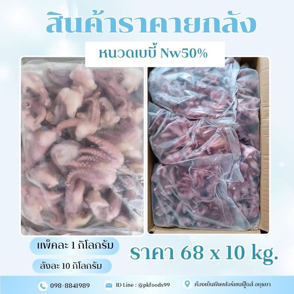 (ยกลัง) หนวดหมึกเบบี้ Nw50%ลัง 10แพ็ค
