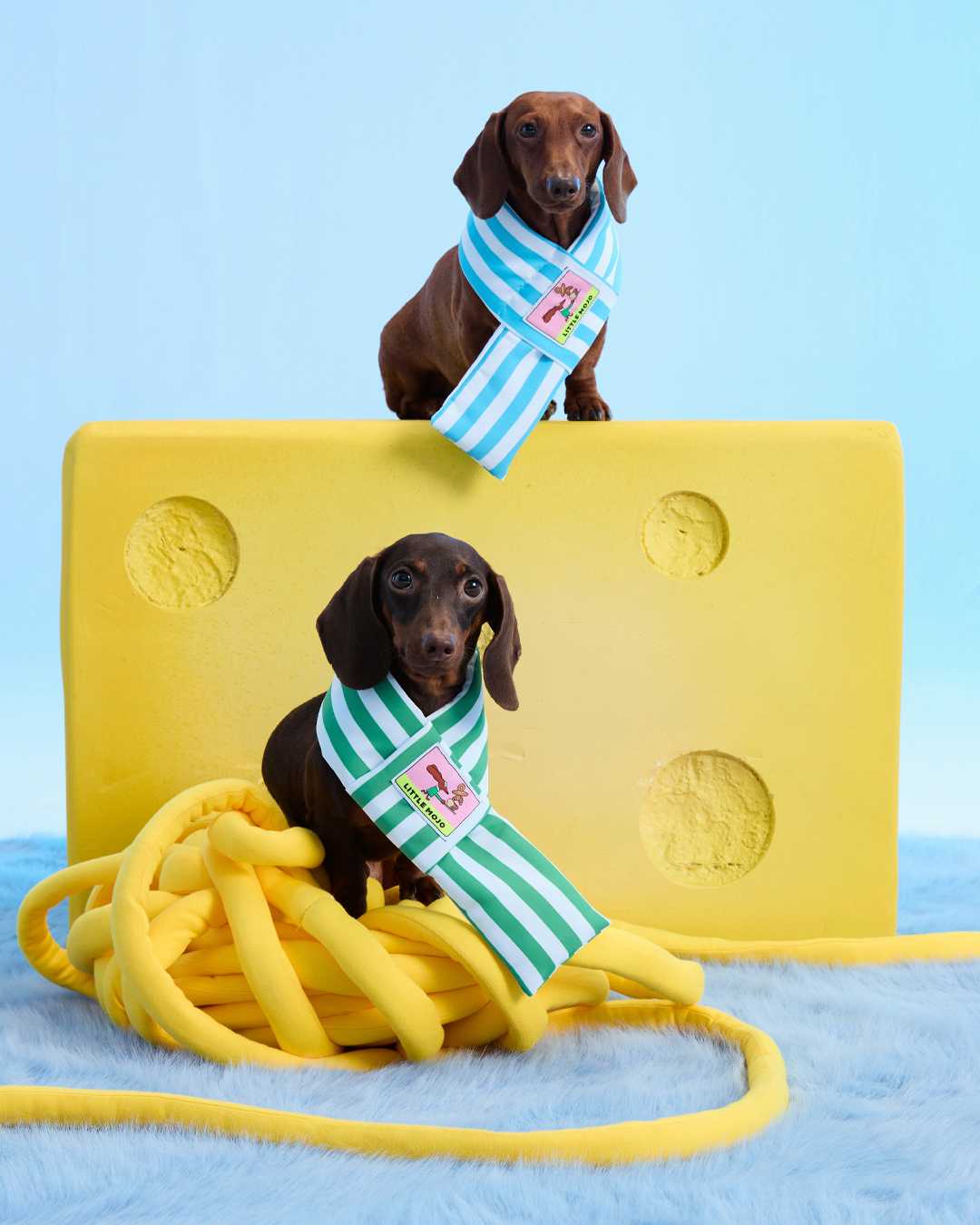 (Look27) Green Pet Scarf