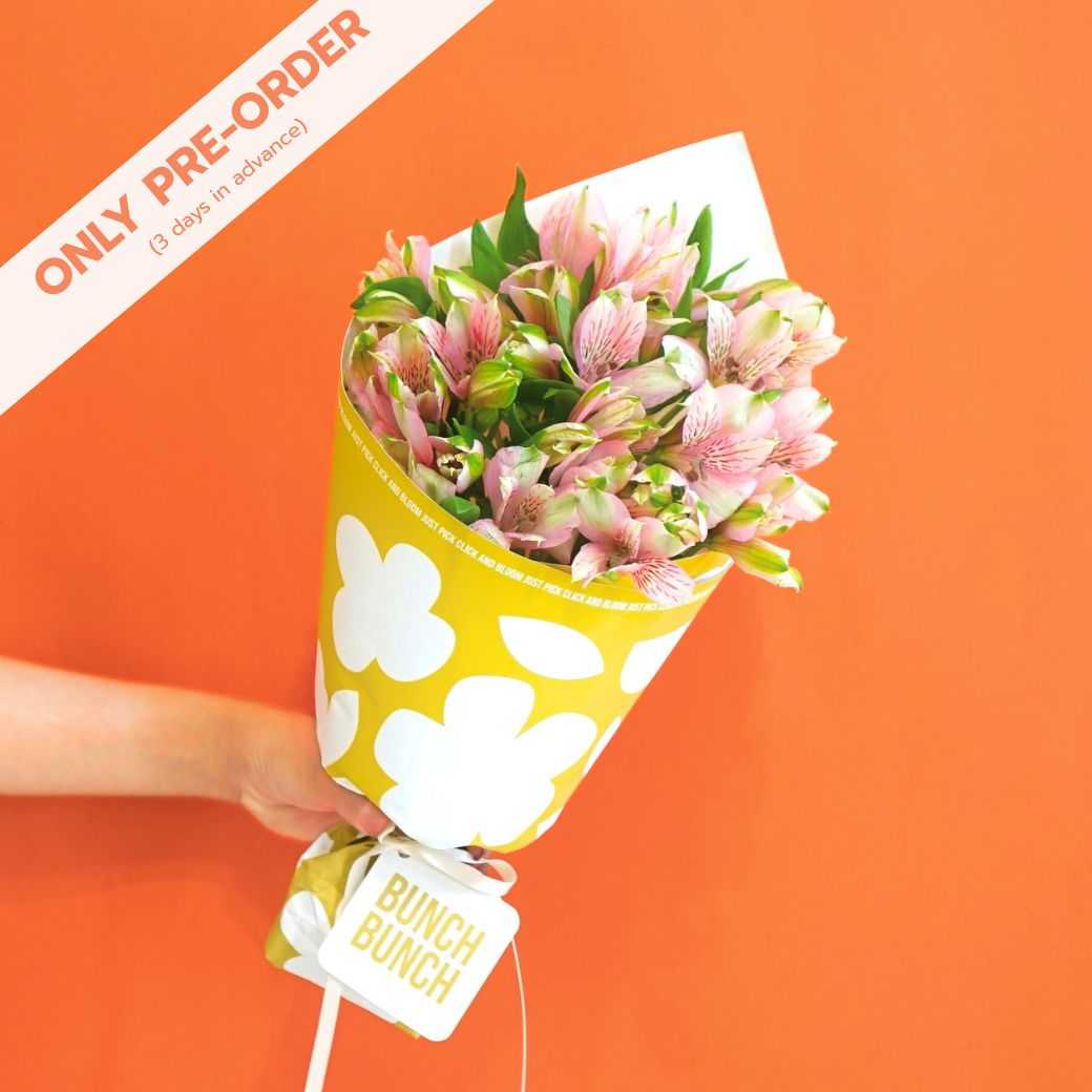 Bunch of Alstroemeria (pre-order only)