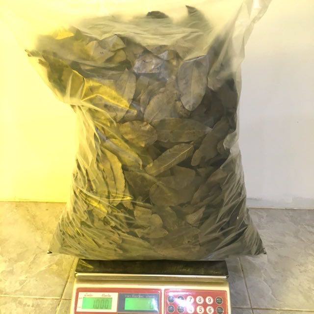 อบแห้ง/ใบย่านาง(คัดพิเศษ,ไร้ก้าน) 1kg. ราคาส่ง