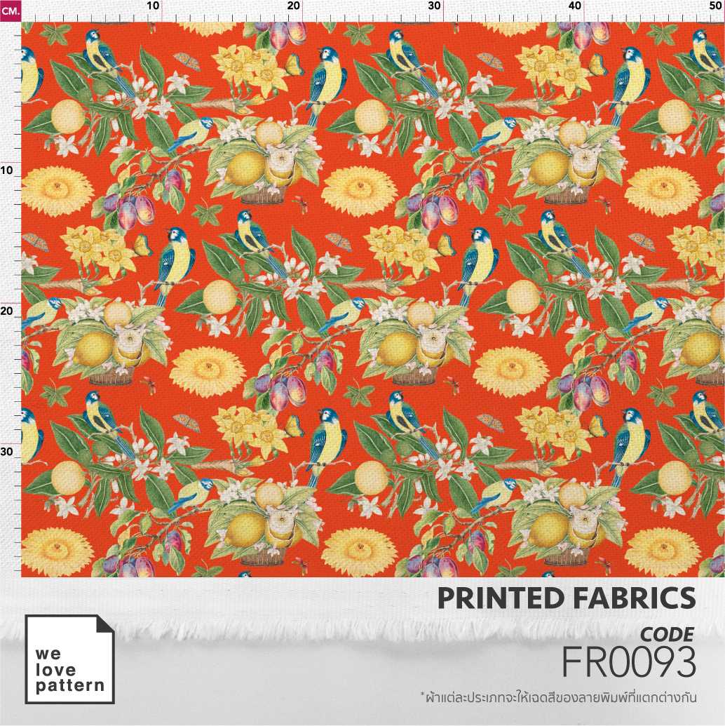 รหัสลาย : FR0093
