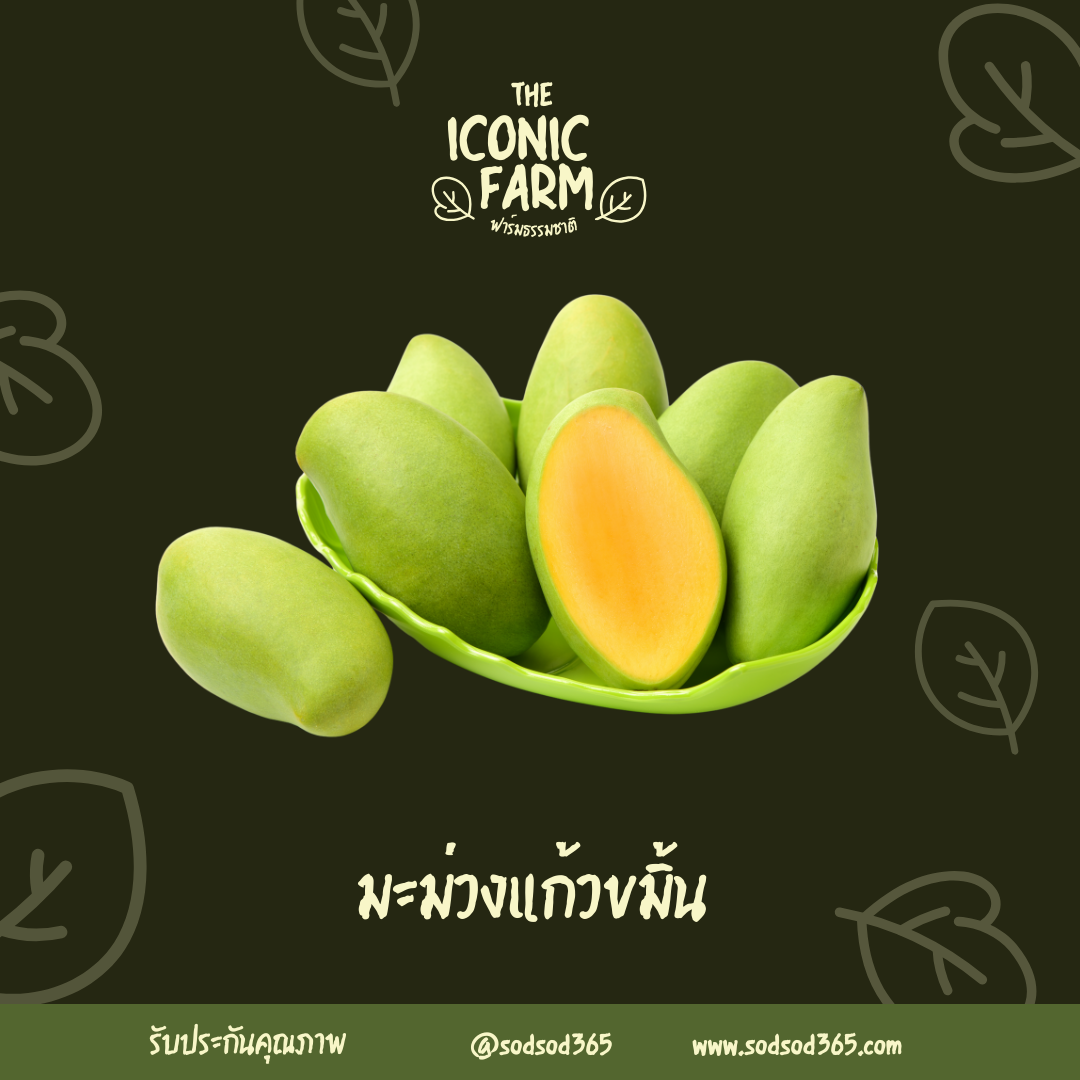 มะม่วงแก้วขมิ่น  3กก 100฿
