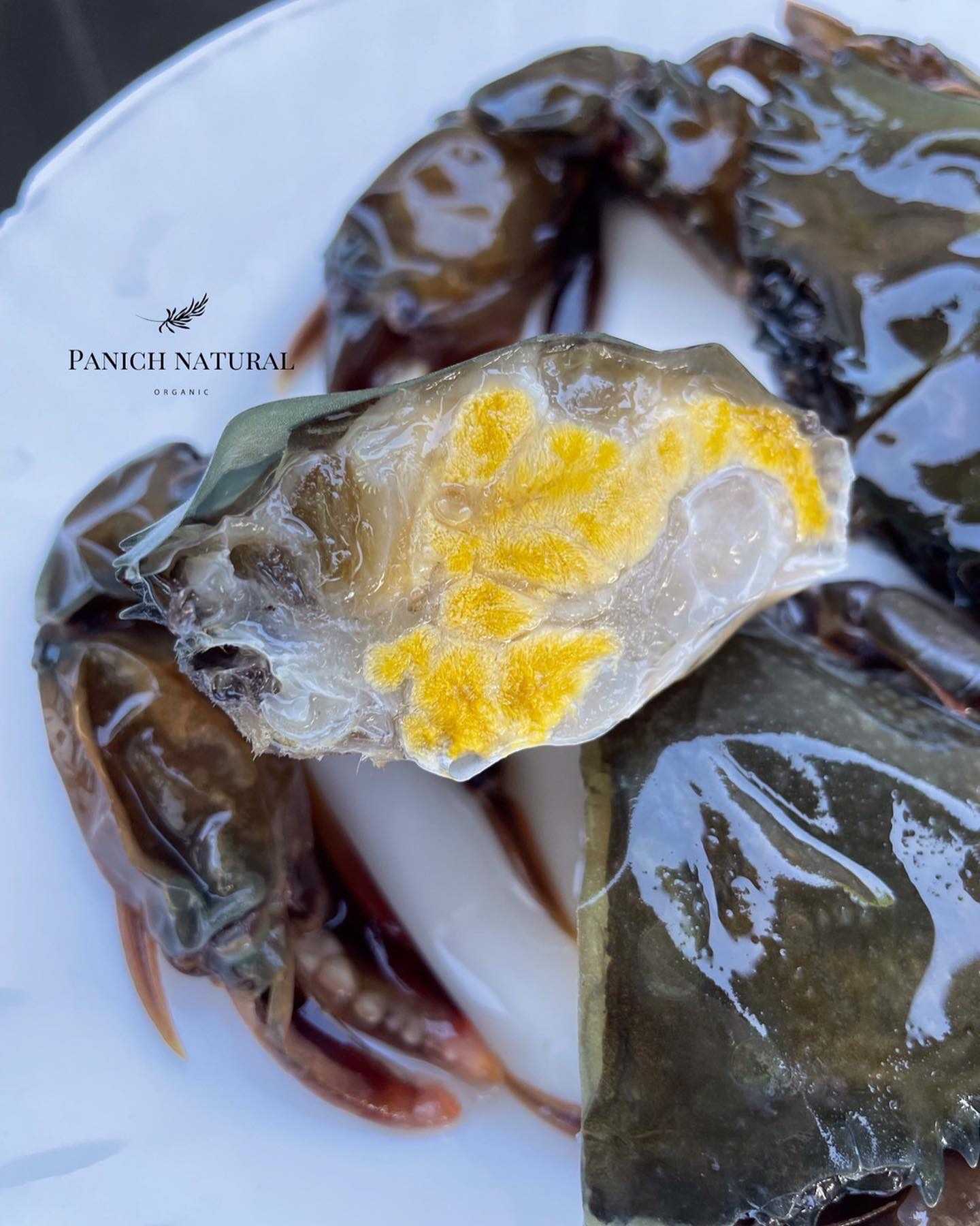 ปูนิ่ม ไม่เค็ม เนื้อแน่น เนื้อหวาน Soft Shell Crab