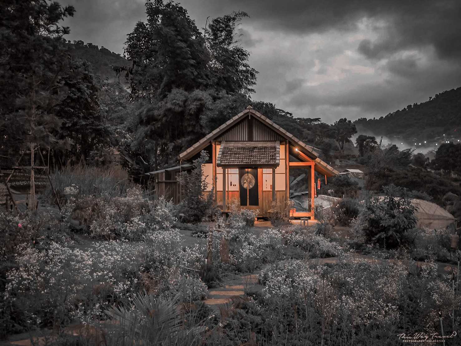 โปรแกรม 3วัน1 คืน Mori Natural Farm จ.เชียงใหม่