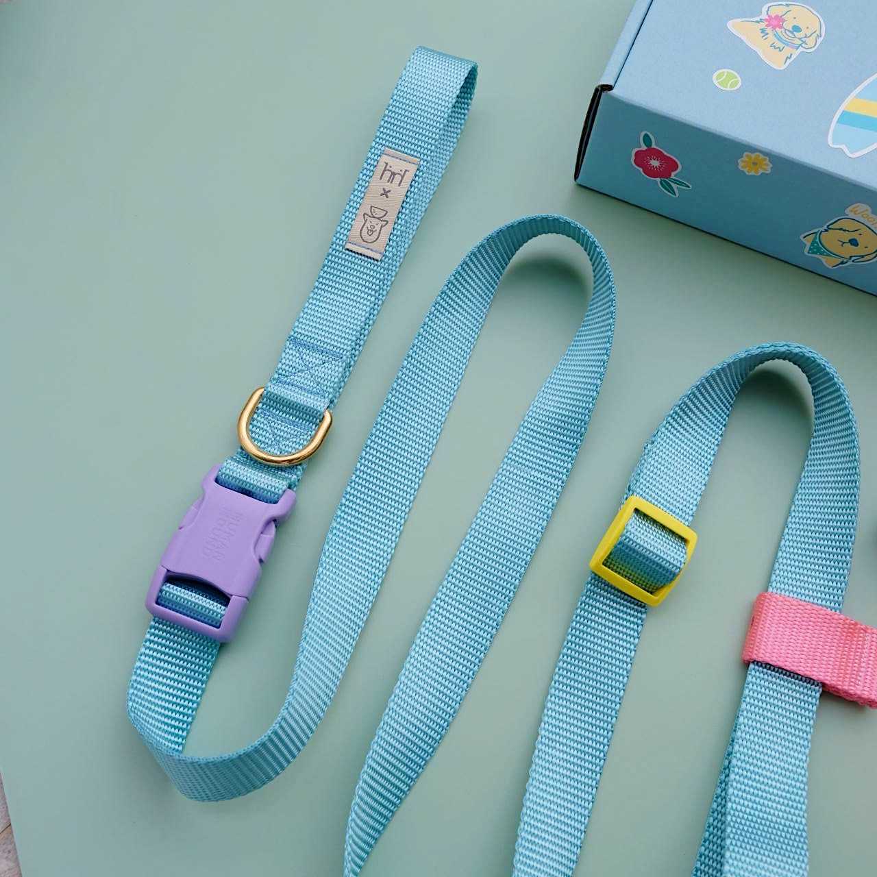 H&H x Gluta Story for Beta : สายจูง HandsFree Leash