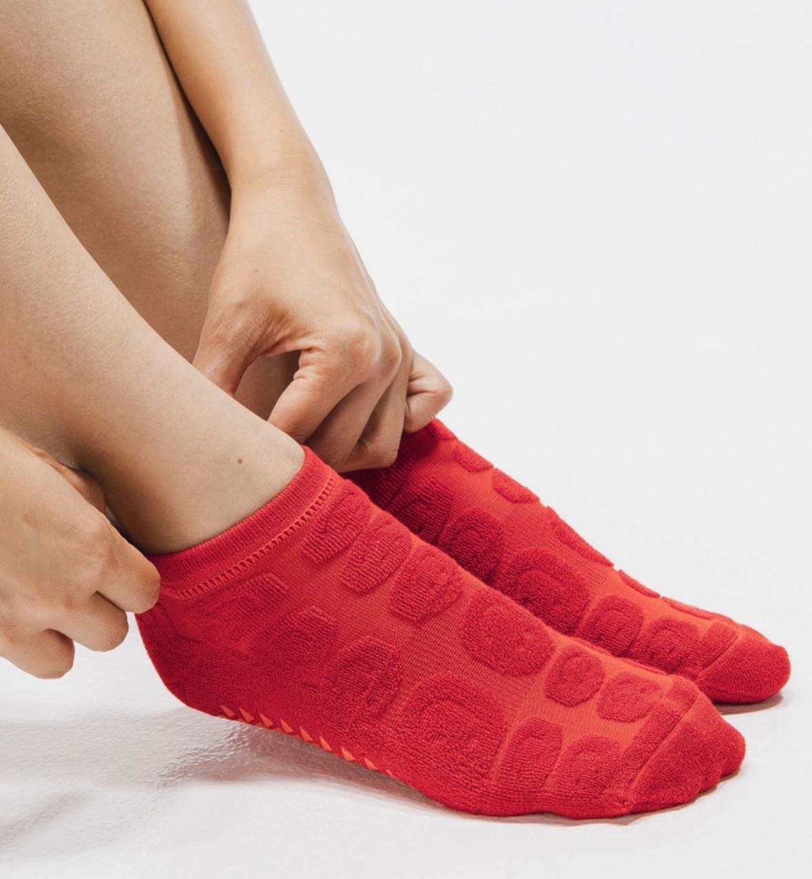 HAPPY TERRY / Cherry🍒 