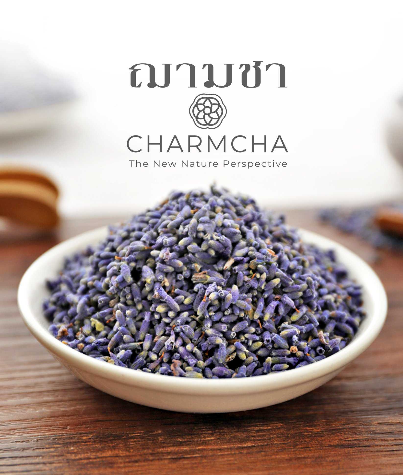 ชาดอกลาเวนเดอร์ ( Lavender FlowerTea ) คลายความตึงเครียดและทำให้หลับสบาย ชาดอกไม้ Charmcha ฌามชา