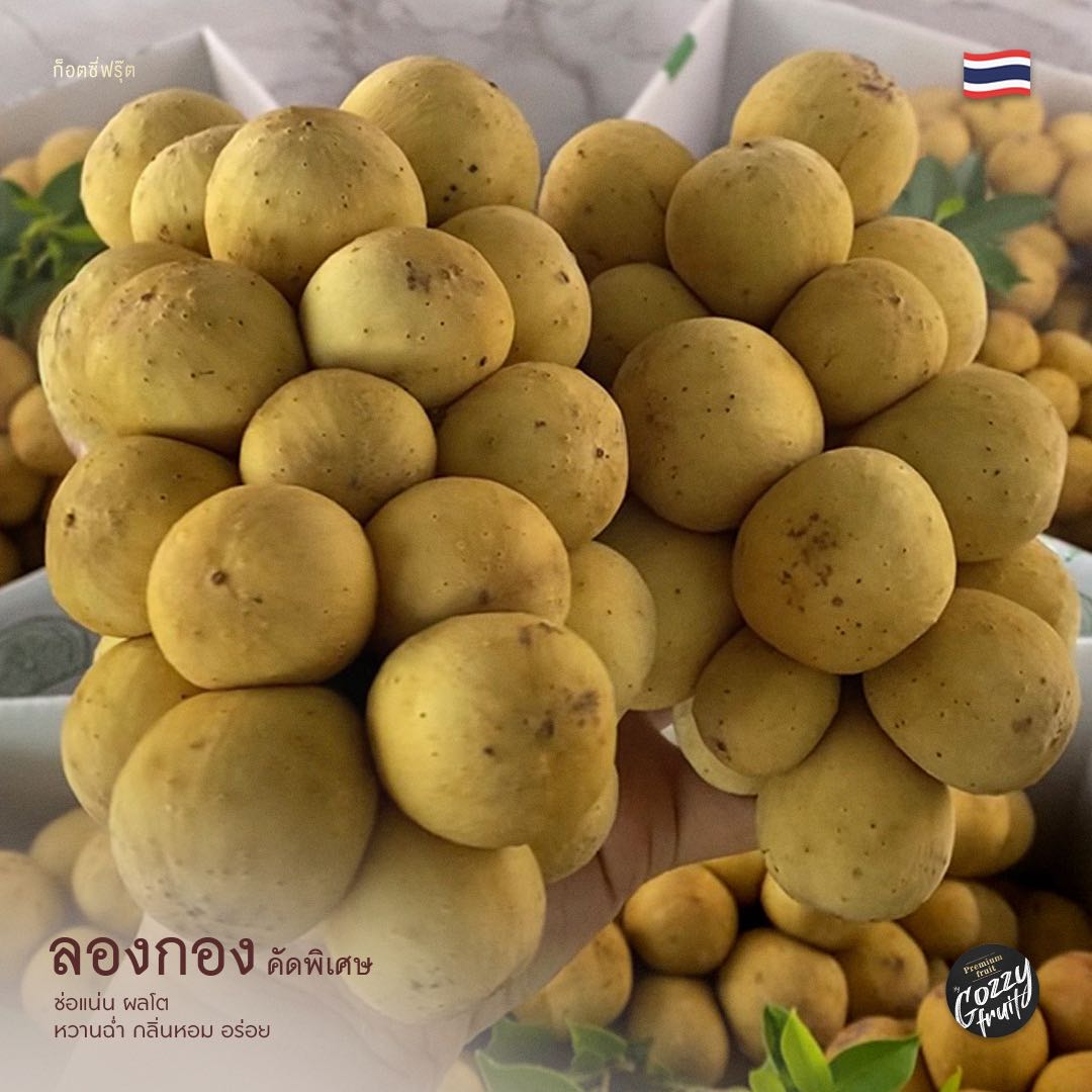 ลองกองตัคช่อพิเศษ