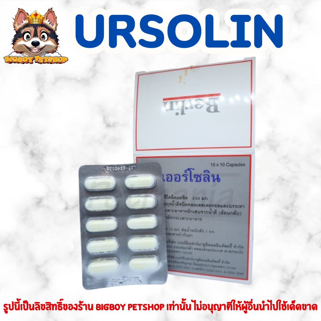 Ursolin เออร์โซลิน250มก. แบ่งขายแผง แผงละ10เม็ด