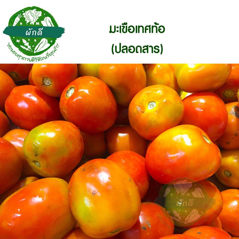 มะเขือเทศท้อ ปลอดสาร 500 กรัม