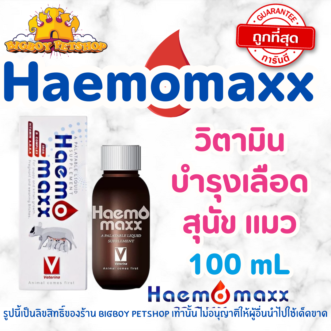 Haemomaxx [ของแท้] อาหารเสริมบำรุงเลือด บำรุงร่างกาย ชนิดน้ำ สำหรับสุนัขและแมว 100 ml.