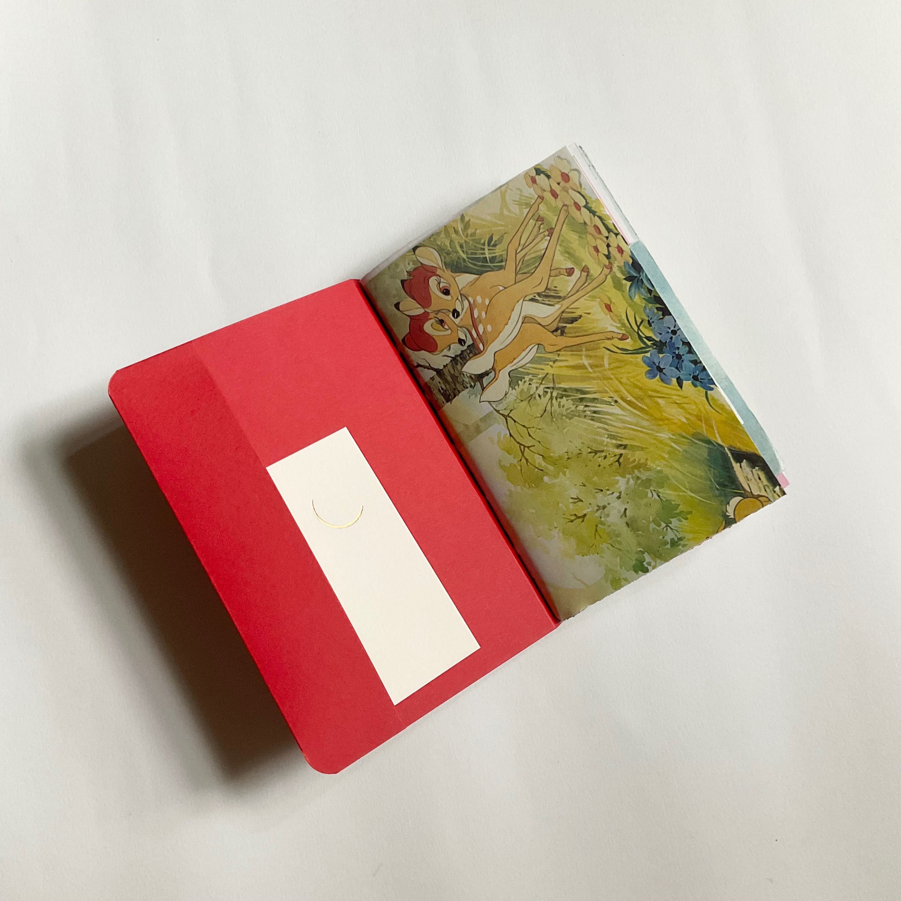 travel notes / apple  • bambi