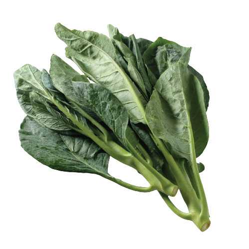 FG11006 คะน้าไทย Thai Kale ( 300g )