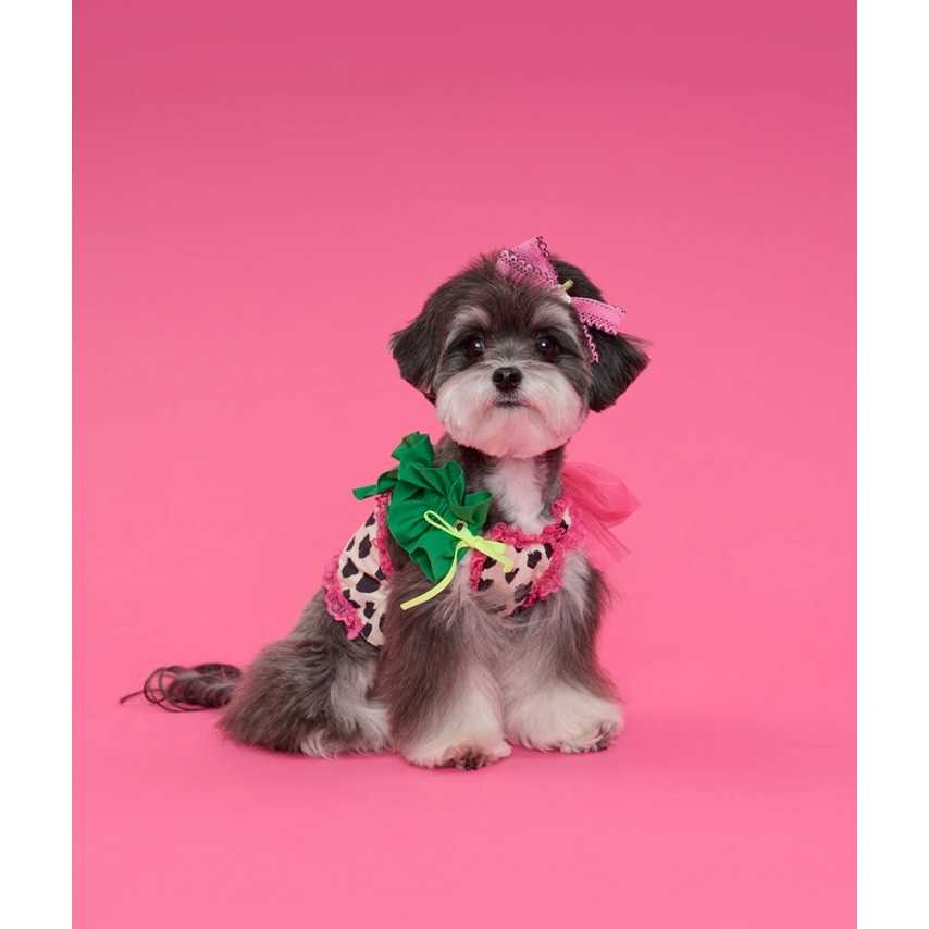 Comocomo-(M)Summer party