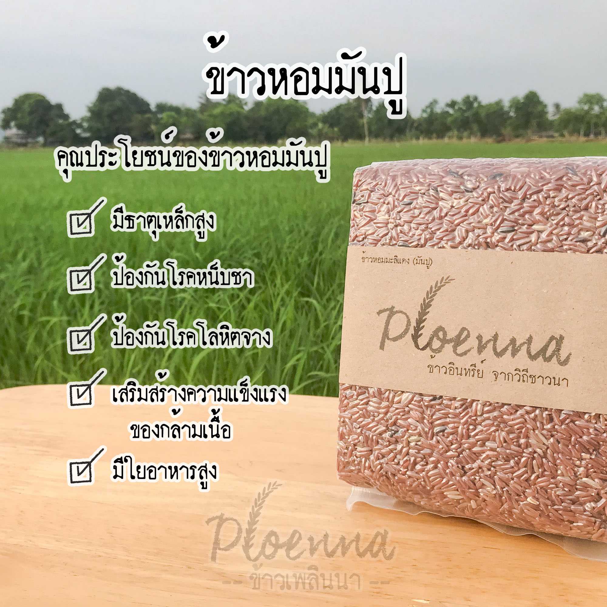 ข้าวหอมมะลิแดง มันปู  เพลินนา