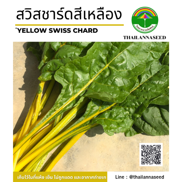 สวิสชาร์ตสีเหลือง ( ขนาด 0.5 กรัม ) รหัสสินค้า 4008
