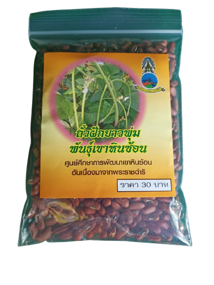 ถั่วฝักยาวพุ่ม พันธุ์เขาหินซ้อน