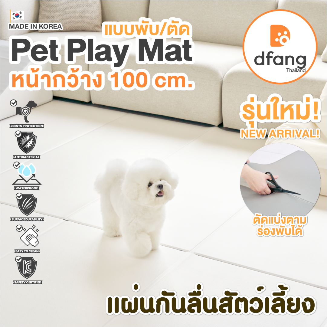 [NEW] Dfang แผ่นกันลื่น Pet Play Mat (พับ/ตัด) กว้าง 100cm มี 4 ขนาด ป้องกันข้อต่อสุนัขและแมว /107