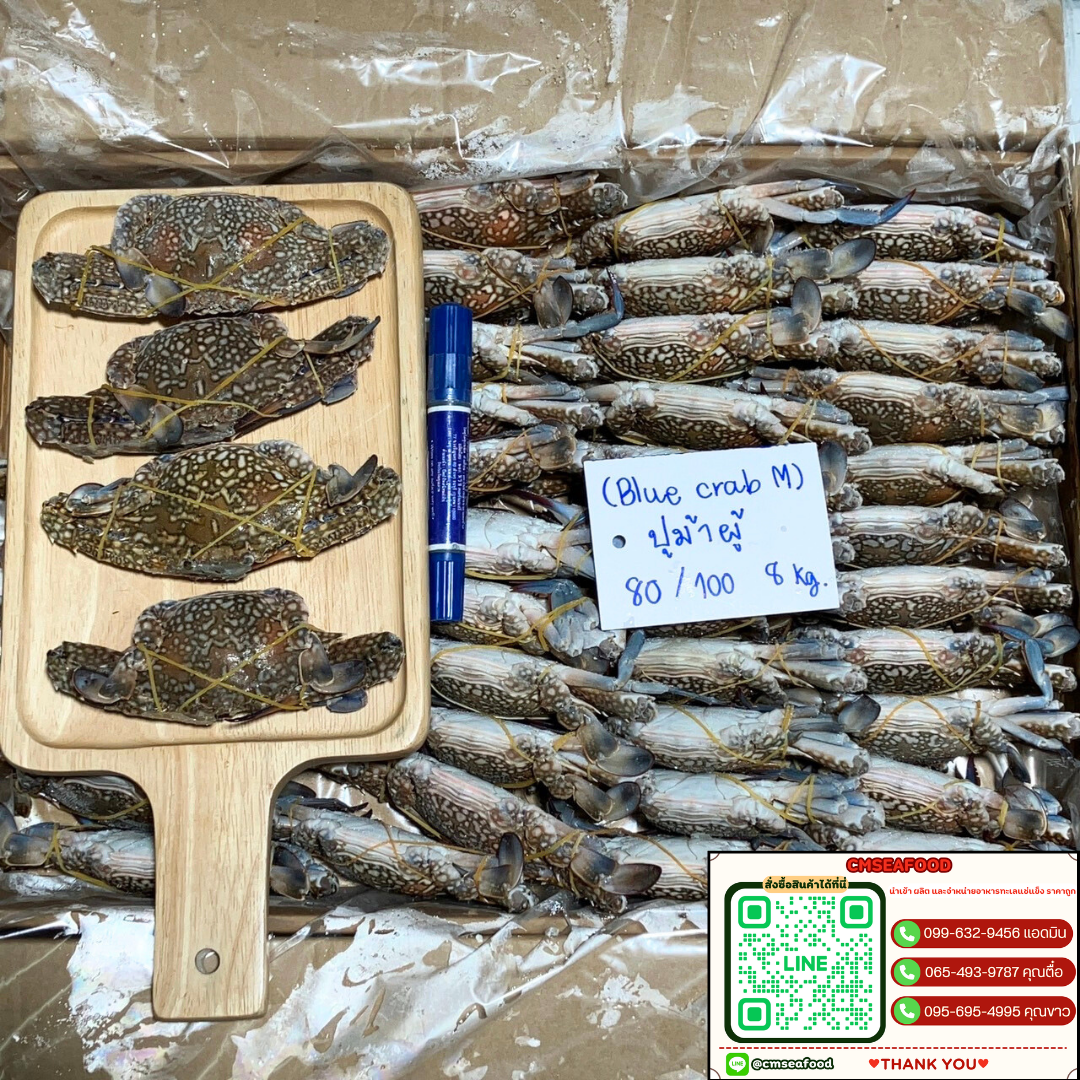 (ฺBlue Crab M) ปูม้าผู้ 80/100 8kg/กล่อง (ตกกิโลละ 100 บาท)
