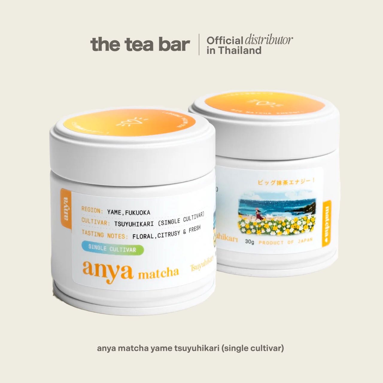 ANYA MATCHA yame tsuyuhikari (single cultivar)