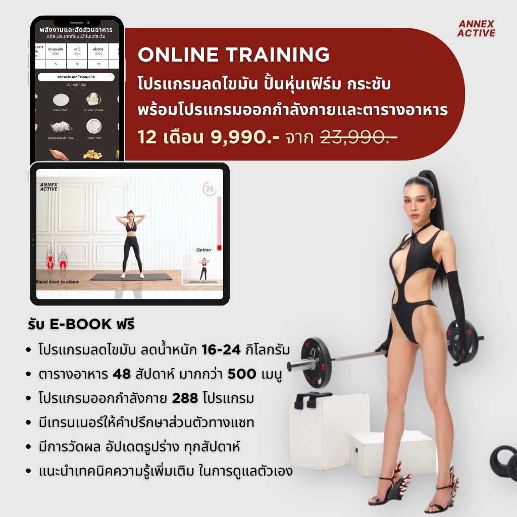 รับโปรแกรม 12 เดือน ANNEX ACTIVE ONLINE TRAINING COURSE