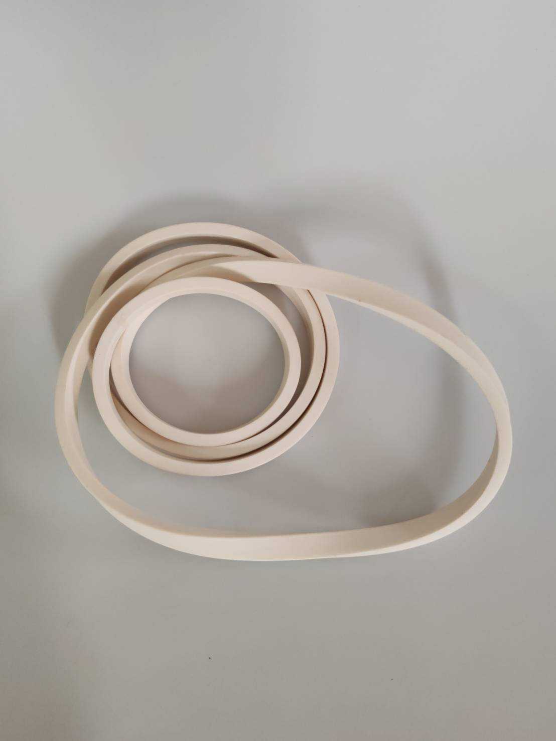 FS1200 Sealing ring f400xf390x10mm For Primus Washer Extractor(221012)-AA