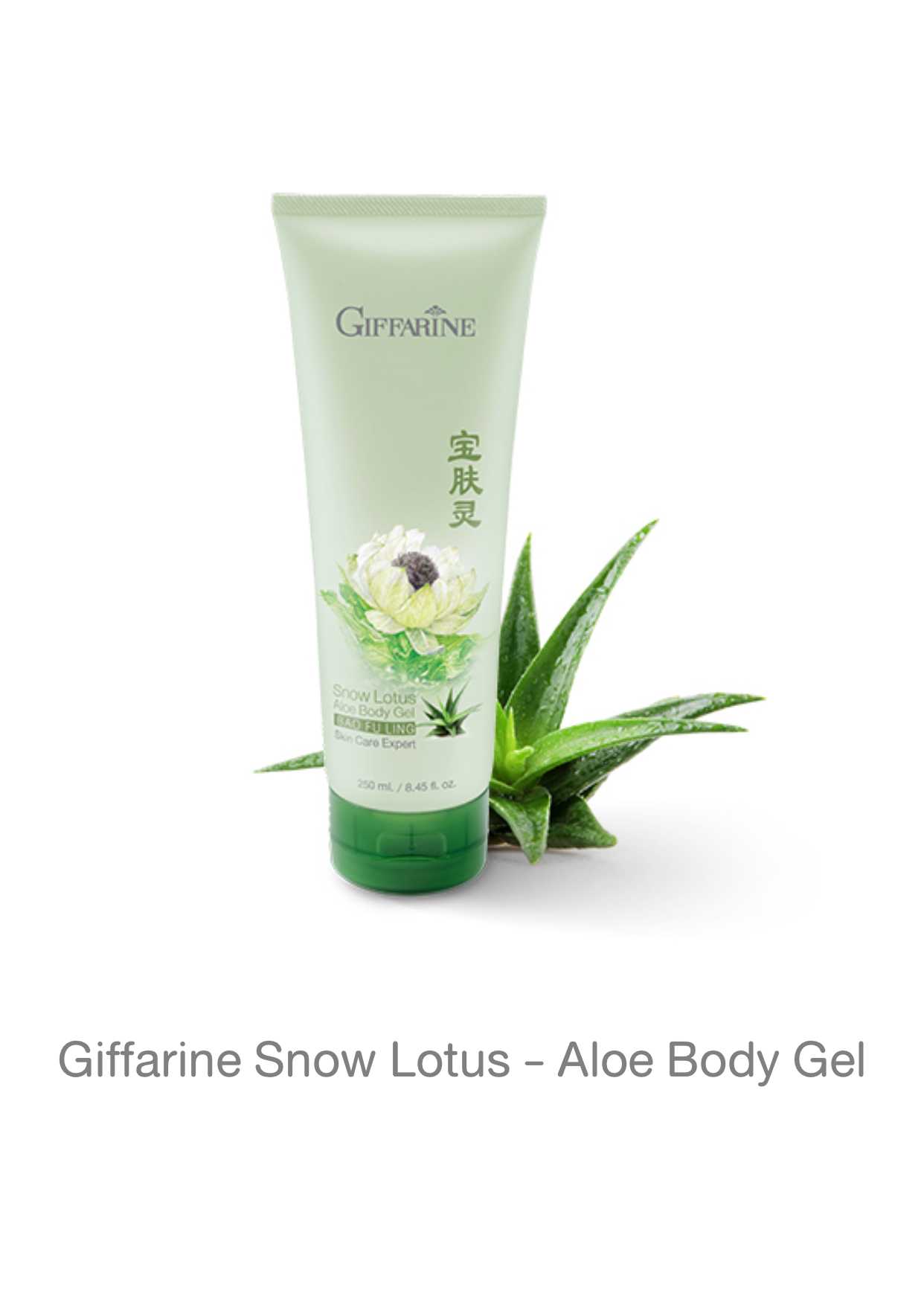 Giffarine Snow Lotus - Aloe Body Gel เจลว่านหางจระเข้ และสารสกัดบัวหิมะ บำรุงผิวกาย