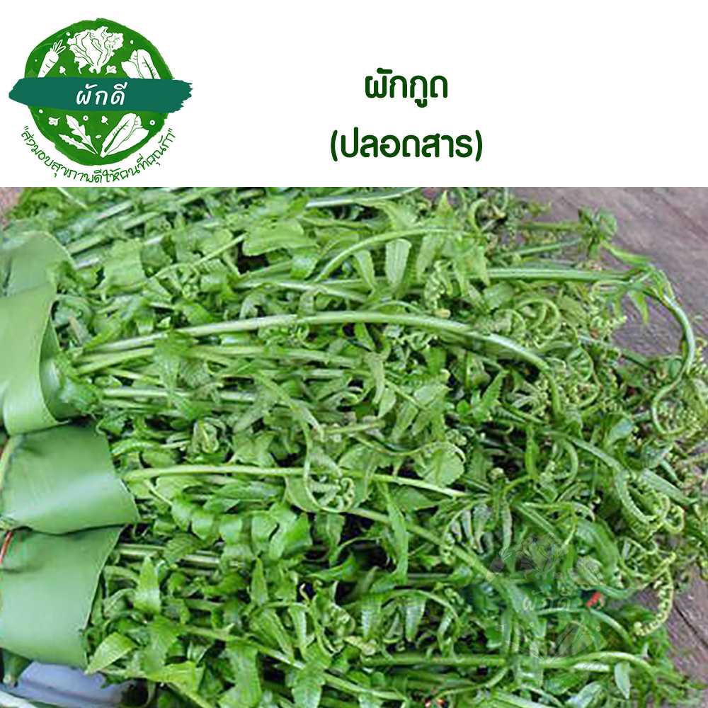 ผักกูด ปลอดสาร (กำ)