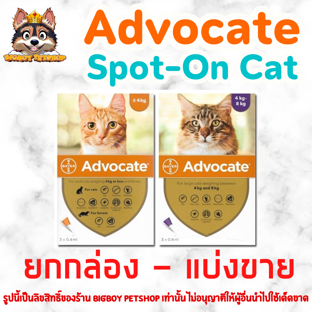 Advocate Spot On Cat สำหรับแมว แบ่งขาย-ยกกล่อง