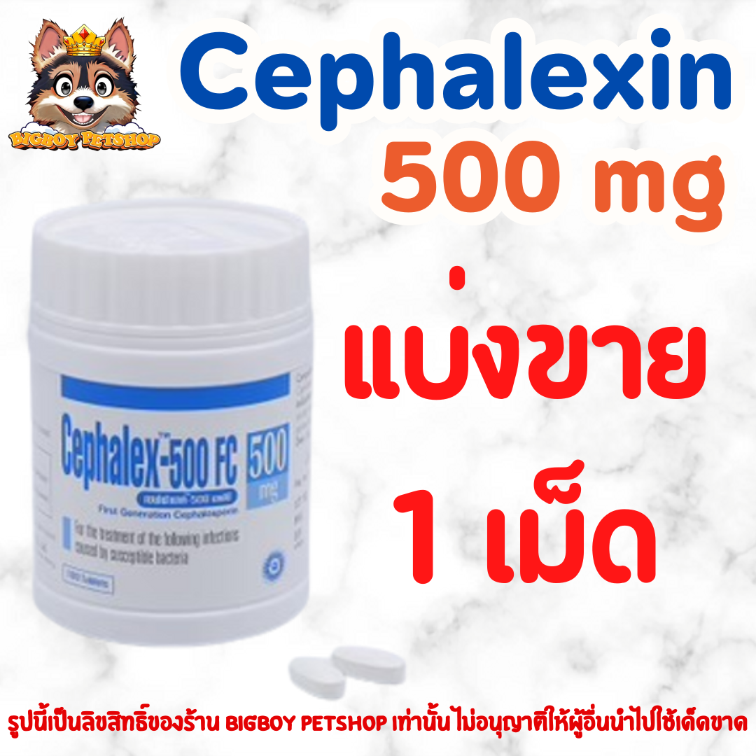 แบ่งขาย 1 เม็ด Cephalexin 500 mg สำหรับสัตว์เลี้ยง