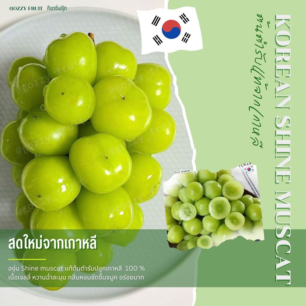 องุ่นเกาหลีแท้ SHINE MUSCAT ช่อยักษ์ยอดนิยม