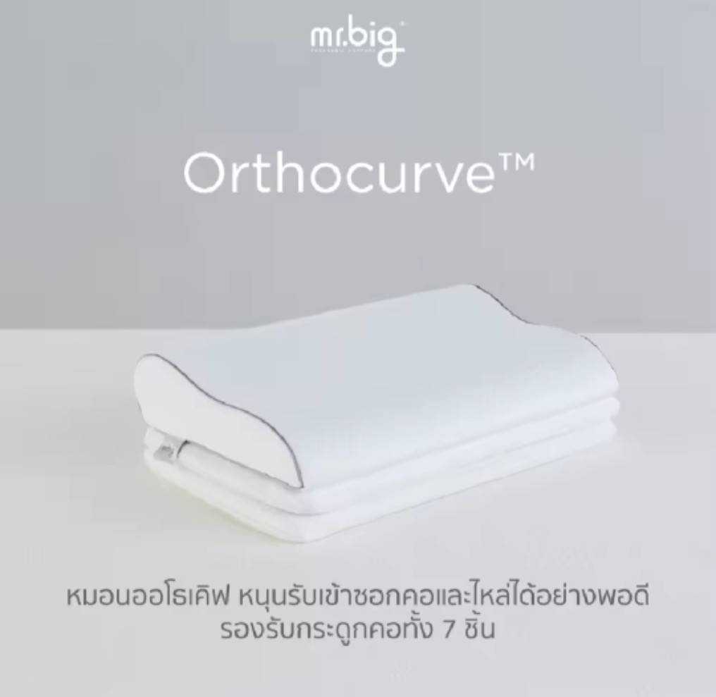 mr.big  Orthocurve Pillow : หมอนหนุนรุ่นออโธเคิฟ หมอนหนุนปรับระดับได้
