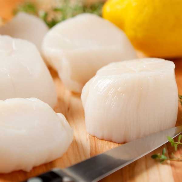 US Scallop - หอยเชลล์ (แช่แข็ง)