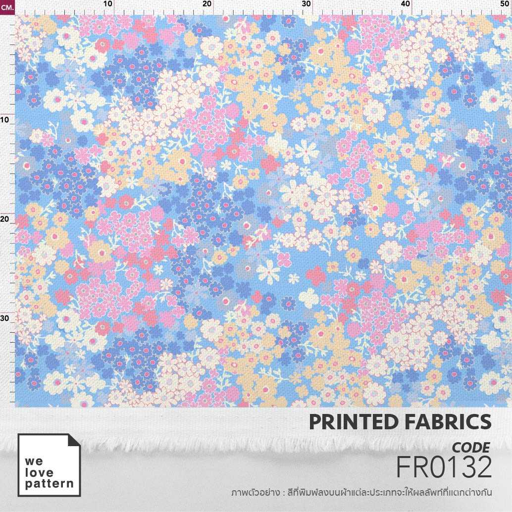 รหัสลาย : FR0132